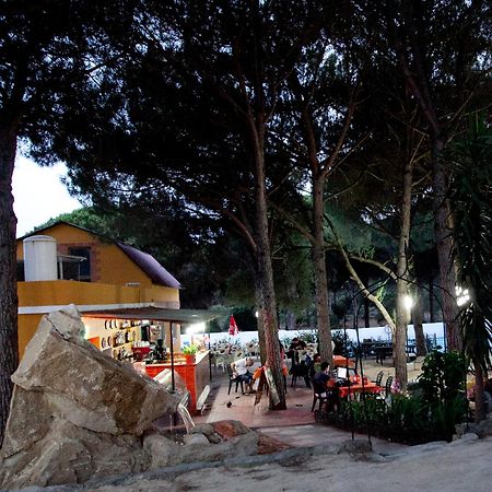 Camping Vejer ベヘール・デ・ラ・フロンテーラ エクステリア 写真