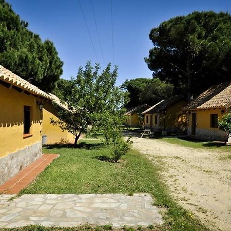 Camping Vejer ベヘール・デ・ラ・フロンテーラ エクステリア 写真