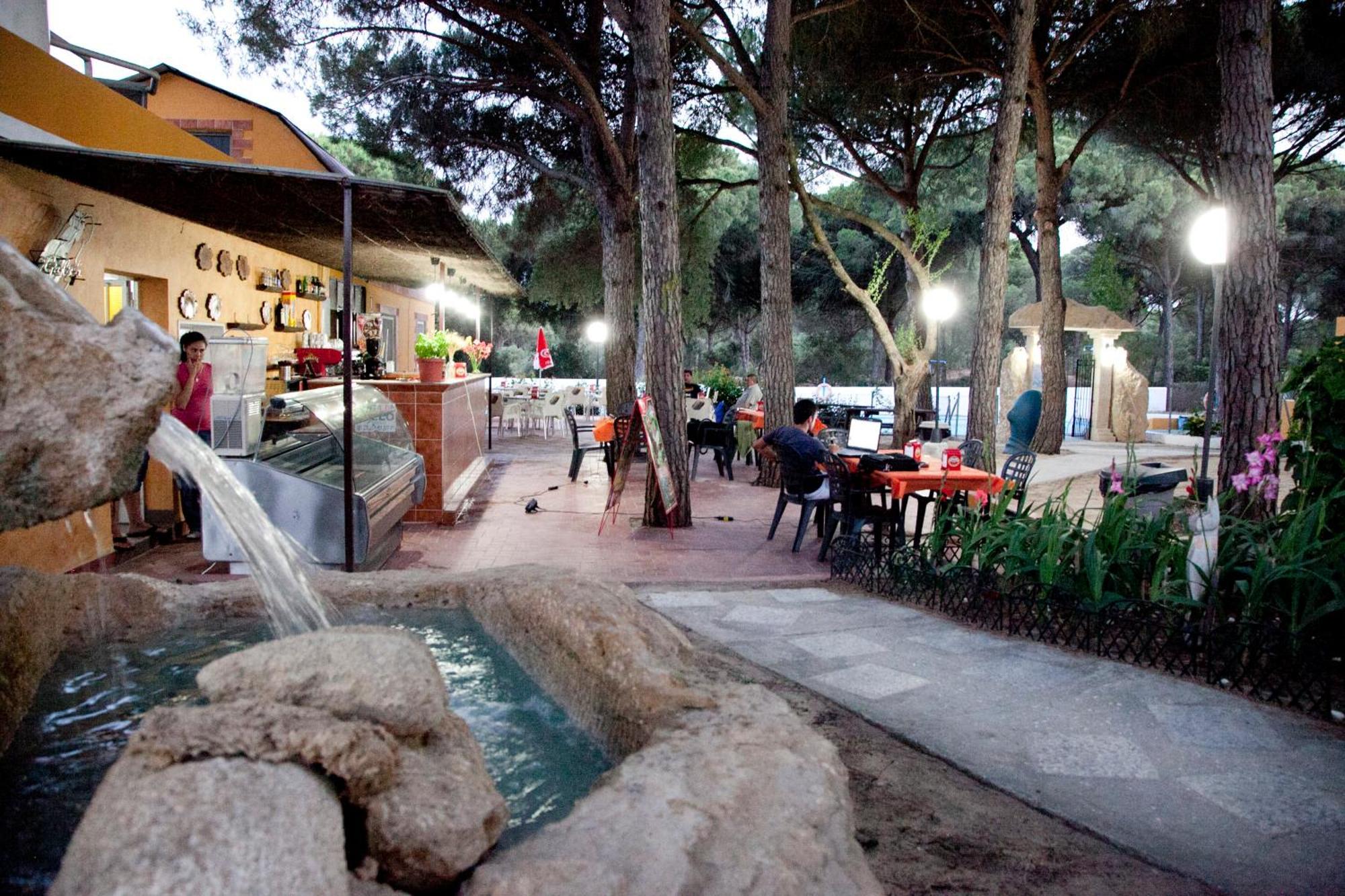 Camping Vejer ベヘール・デ・ラ・フロンテーラ エクステリア 写真