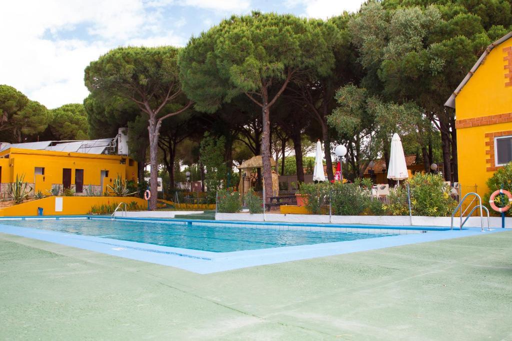 Camping Vejer ベヘール・デ・ラ・フロンテーラ エクステリア 写真